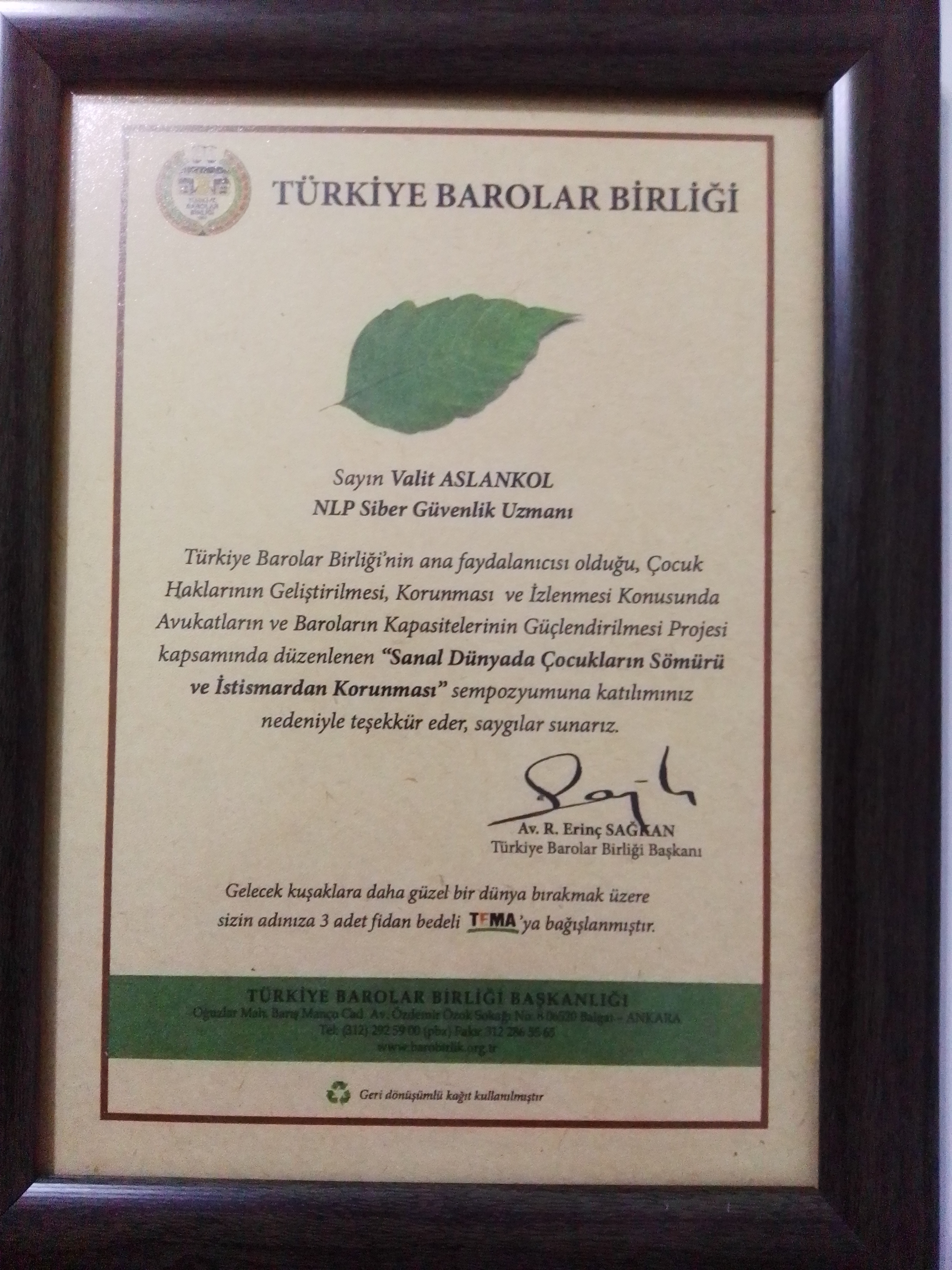 Plaketler